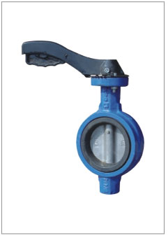 無耳對(duì)夾式蝶閥